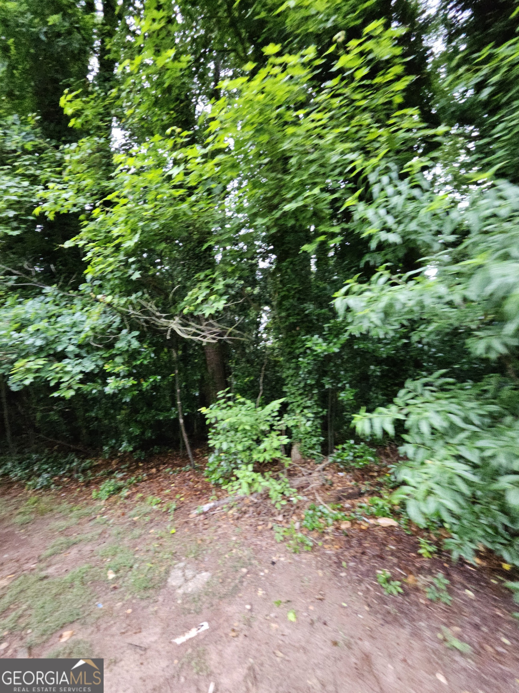 2409 Tarian DR