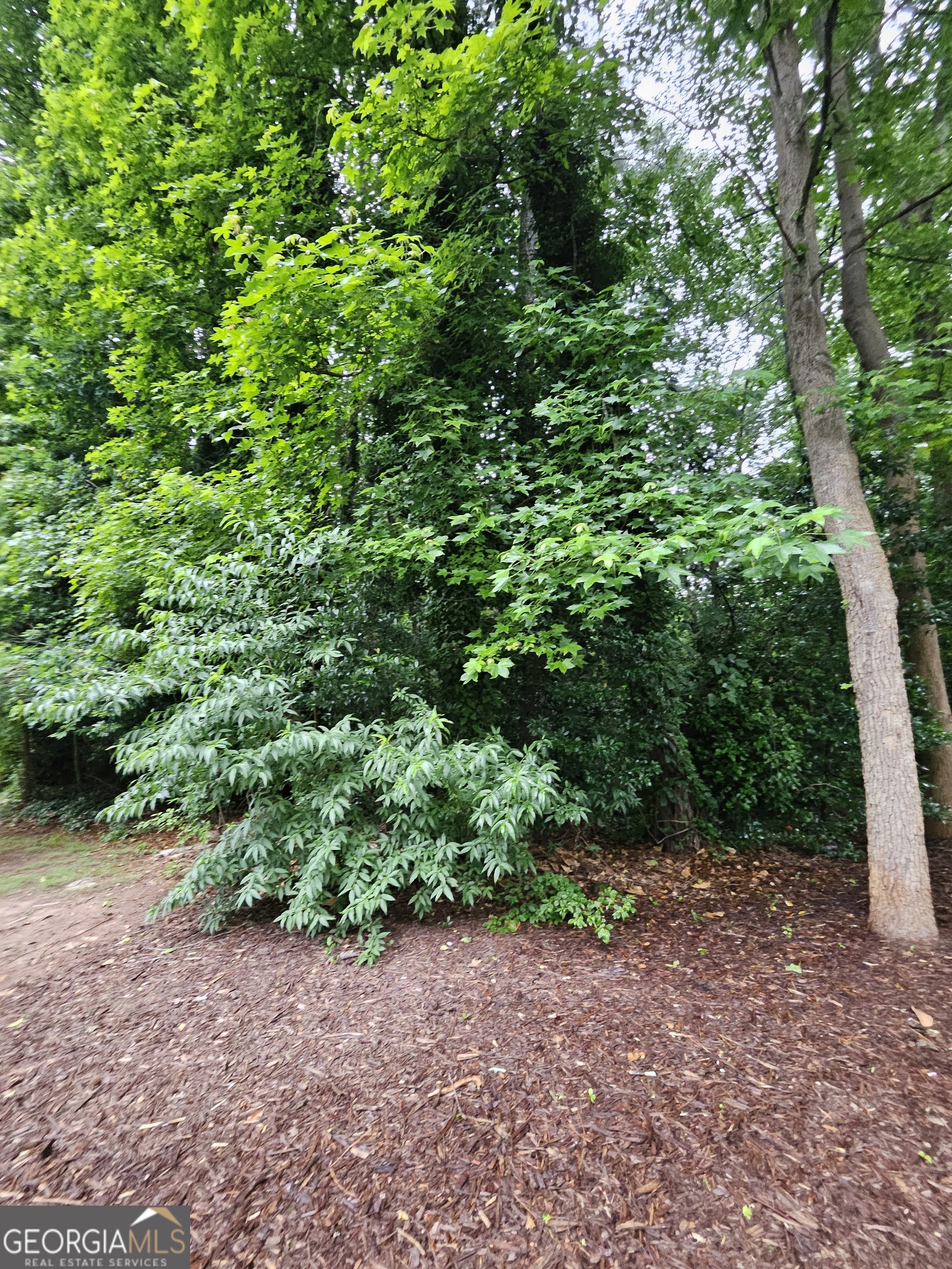 2409 Tarian DR