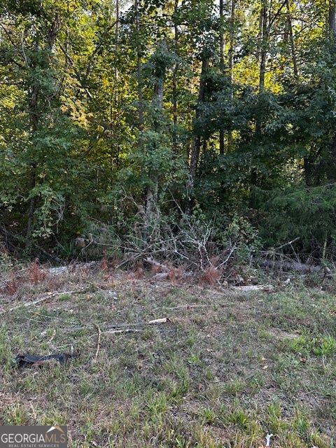 Residential lot in Adrian Villas subdivision. Only a few lots left in this developed subdivision.