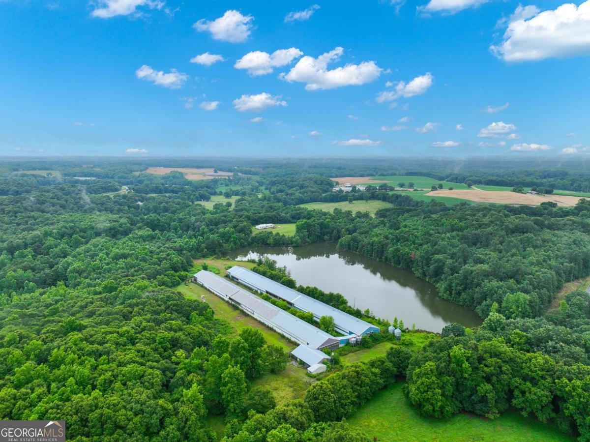 397 Reed Brawner RD