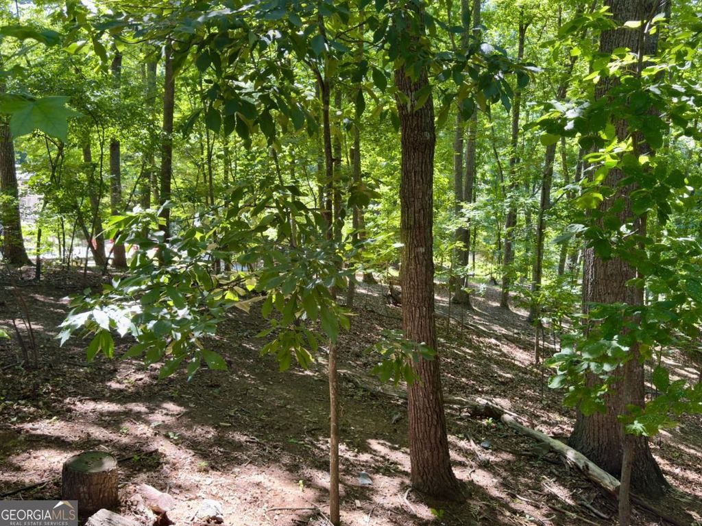 Photo of 0 Bermuda Lane, Flowery Branch, GA 30542 (MLS # 10766095)
