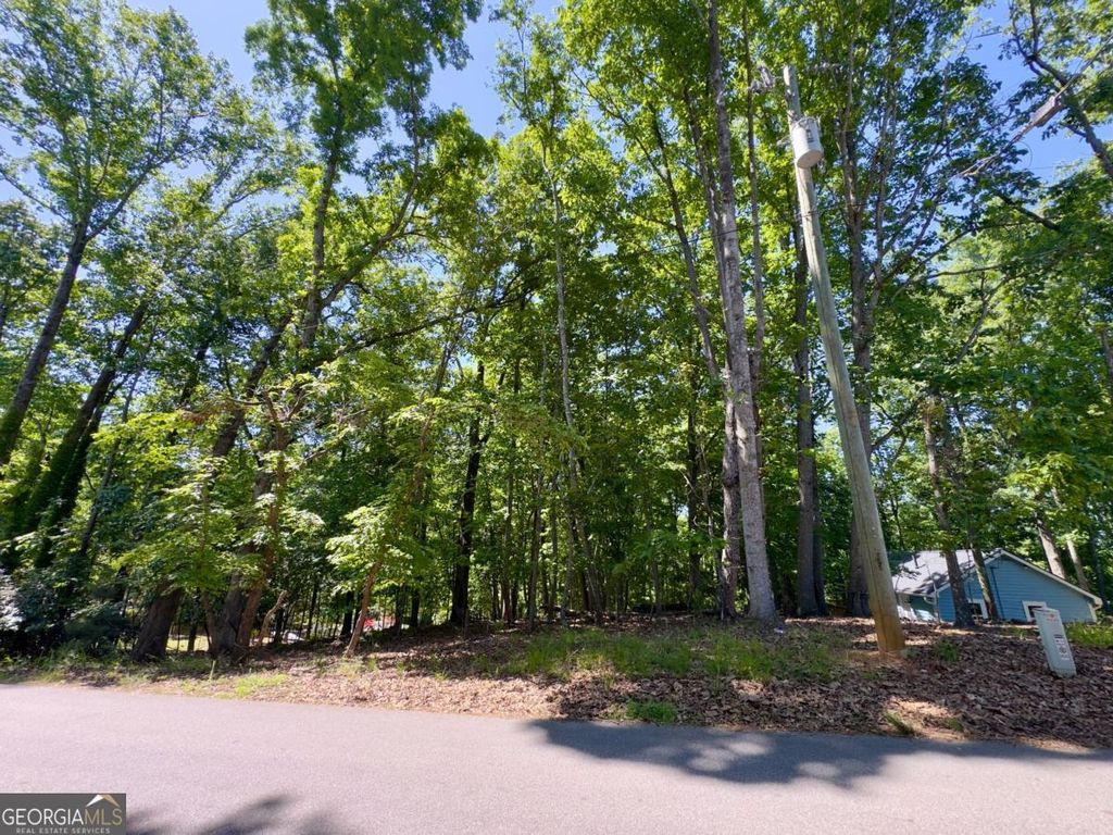 Photo of 0 Bermuda Lane, Flowery Branch, GA 30542 (MLS # 10766095)