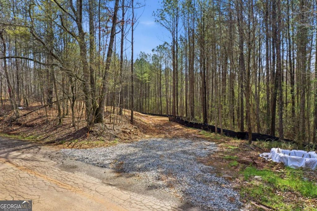 Photo of 250 Sardis Circle, Canton, GA 30114 (MLS # 10712513)