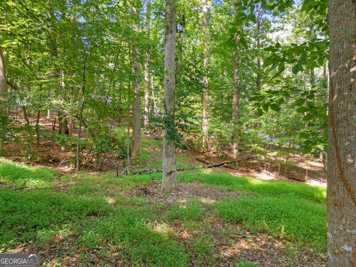 Victoria Reservoir Area - Land