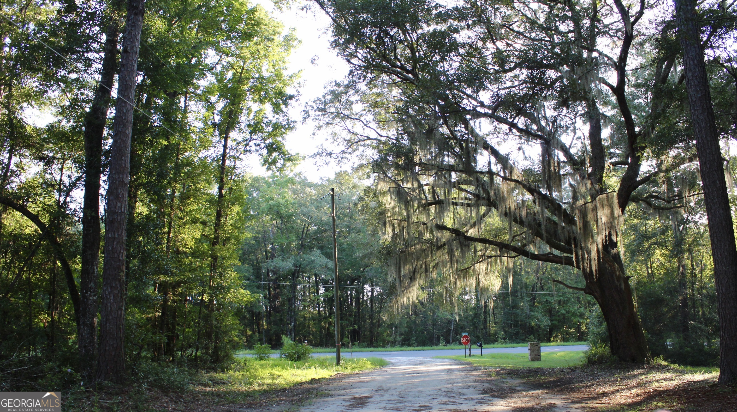 Welcome to White Chimney Cove, a charming coastal subdivision tucked away in Townsend, GA. This residential lot on a quiet dead-end road offers the perfect blend of peace and convenience, making it an ideal spot for your future home. From within the neighborhood, you'll enjoy serene marsh views that capture the beauty of Georgia's coast and provide a tranquil backdrop to everyday living. Perfectly situated for outdoor enthusiasts, this property is just minutes from the Sapelo Hammock Golf Club, two full-service marinas, and local campgrounds-giving you endless opportunities for boating, fishing, golfing, and weekend getaways. Whether you're dreaming of a permanent residence or a coastal retreat, White Chimney Cove offers the lifestyle you've been searching for: a quiet road with natural beauty, and easy access to recreation. Don't miss your chance to own a piece of the Georgia coast and build the home you've always envisioned.