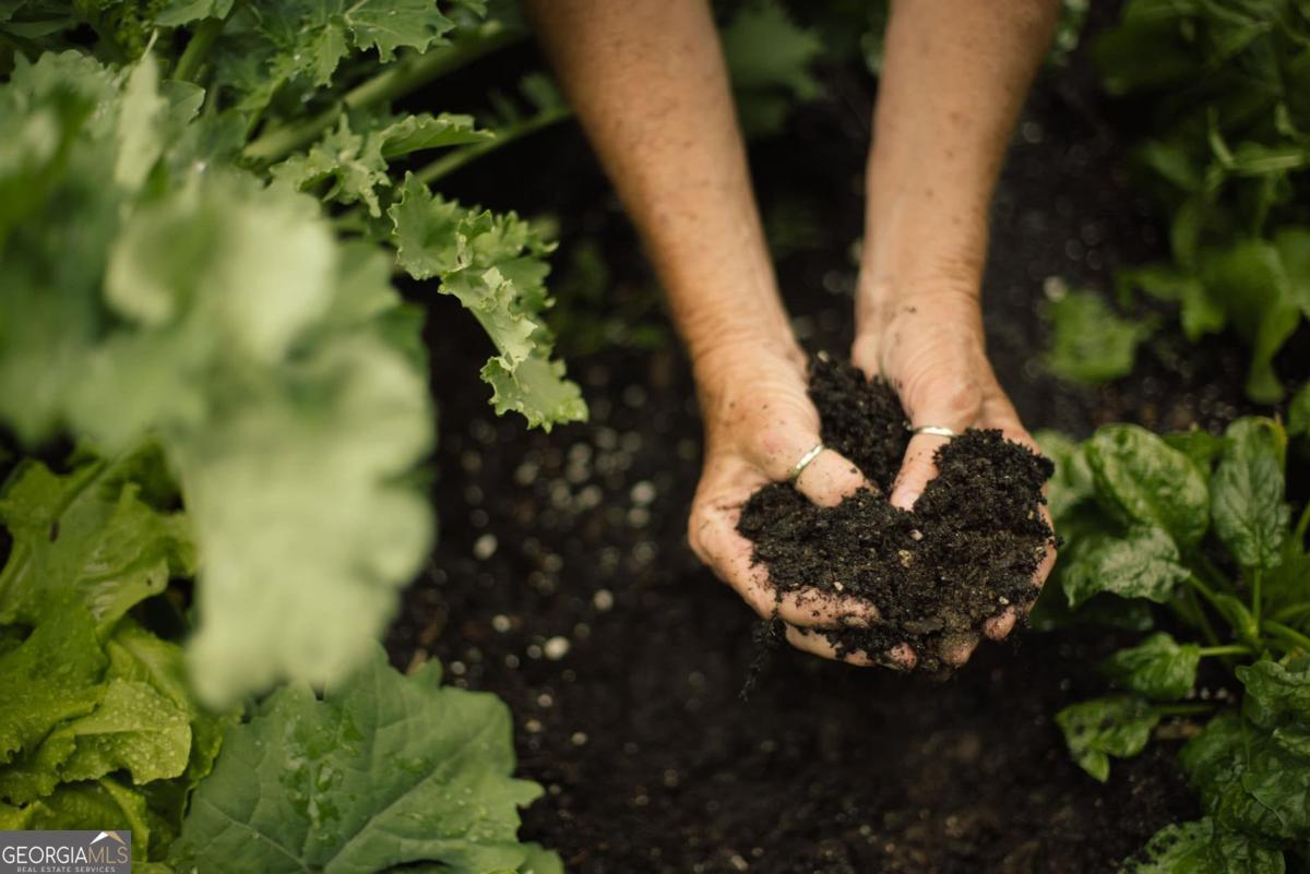 Harbor Club - Residential