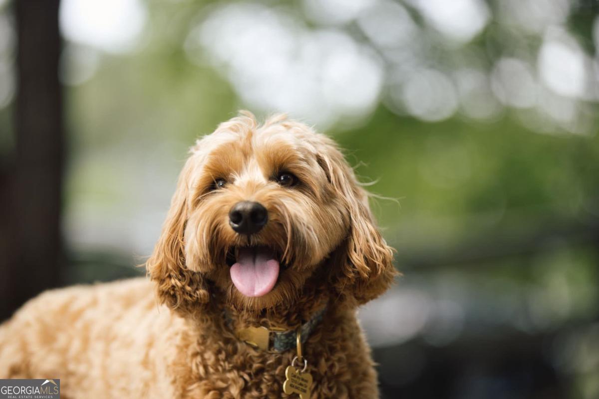 Harbor Club - Residential