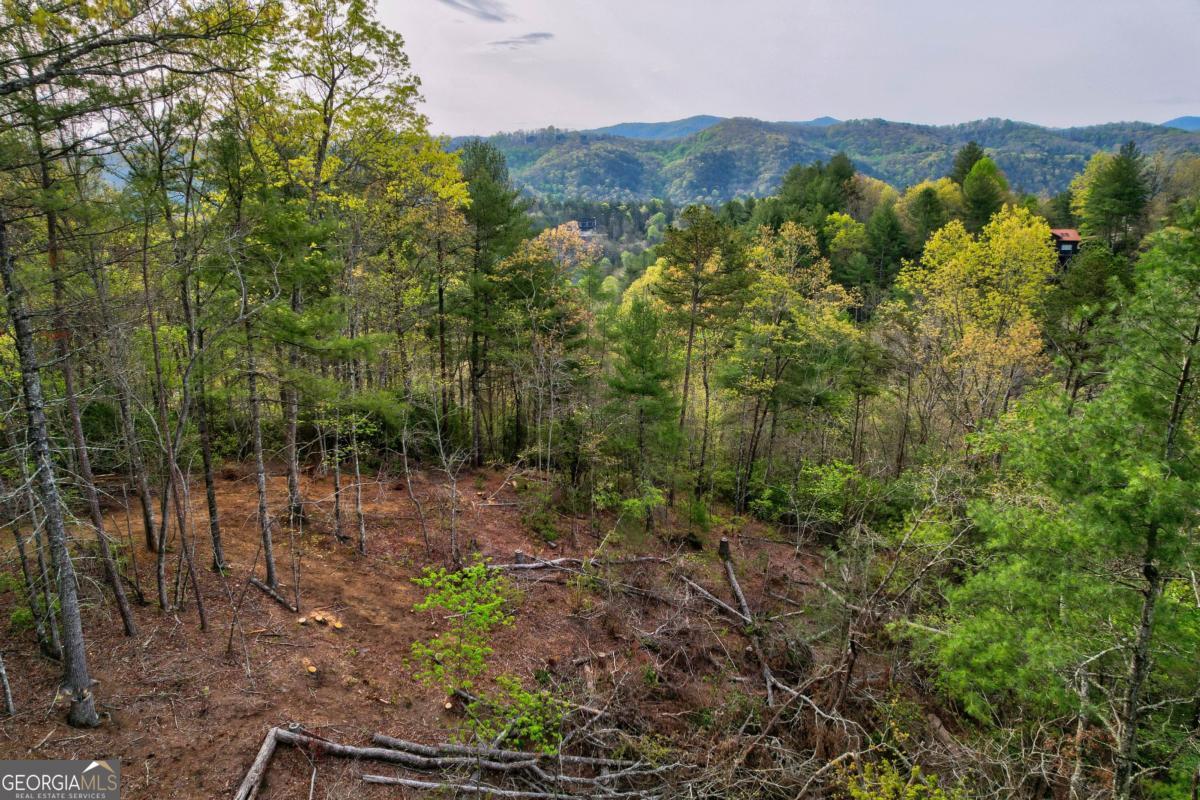 Gorgeous 2.38 acre lot just outside downtown Blue Ridge! This lot offers exceptional year round mountain views, beautiful hardwoods, convenience to downtown, community water, and minimal restrictions. Excellent soil work on file and easy buildable lot for any style home! Neighboring lot also available for a total of 5.21 acres.