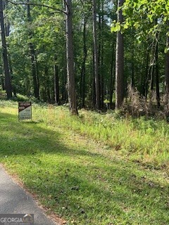 This beautiful Lakefront property without a dock still offers beautiful views, direct access to the water, and a peaceful natural setting, making it highly desirable for those seeking tranquility and a strong connection to nature. While the absence of a dock may limit immediate opportunities for boating or fishing, it can also preserve the shoreline's natural beauty and reduce maintenance responsibilities. Owners can still enjoy swimming, kayaking, or relaxing by the water's edge.