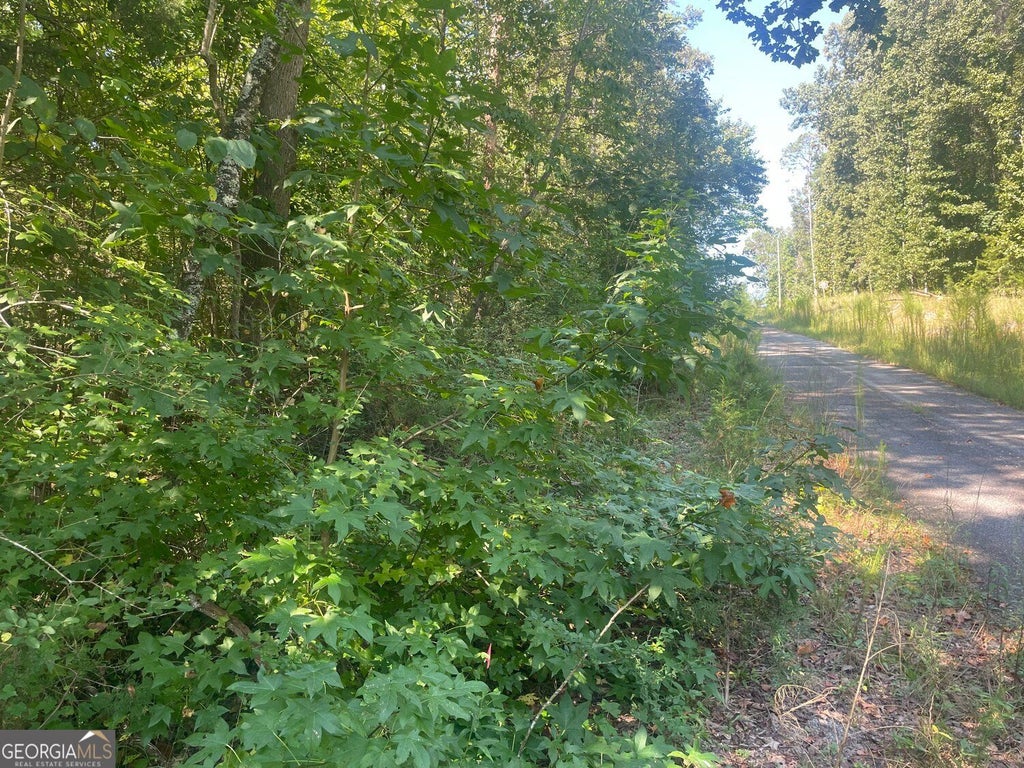 Photo of 0 Apache Trail, Martin, GA 30557 (MLS # 10851258)