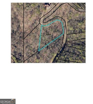 0 ERST STRASSE, HELEN, GA 30545 - Image 02c292fb8c8b9cb577824cd3ad98df1e/3584209689