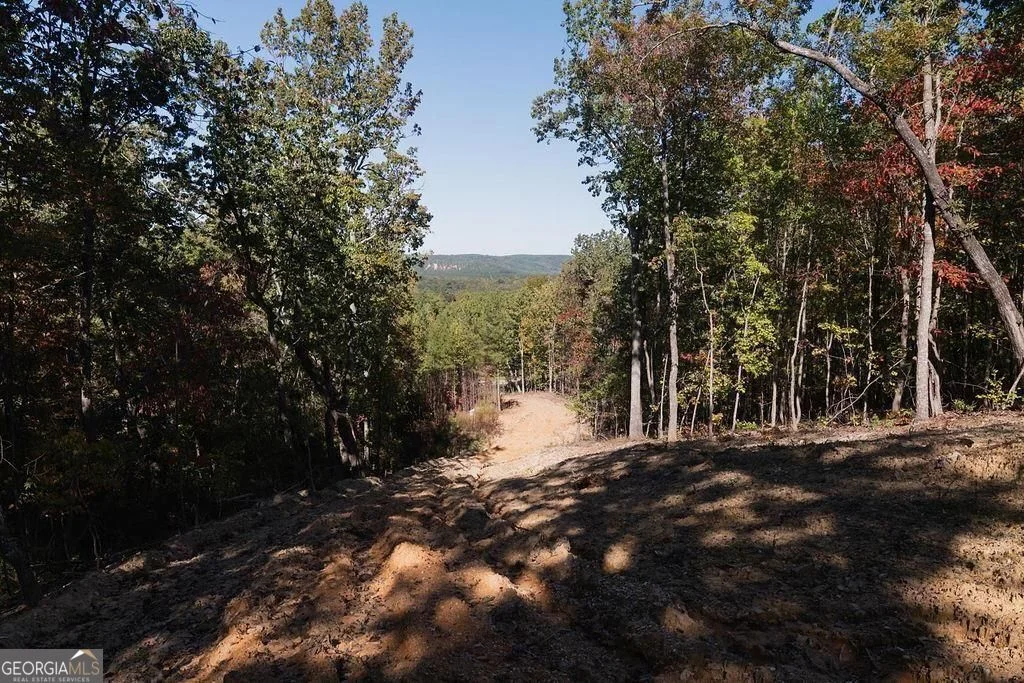 34 E Heritage Drive NE, Rydal, GA, 30171