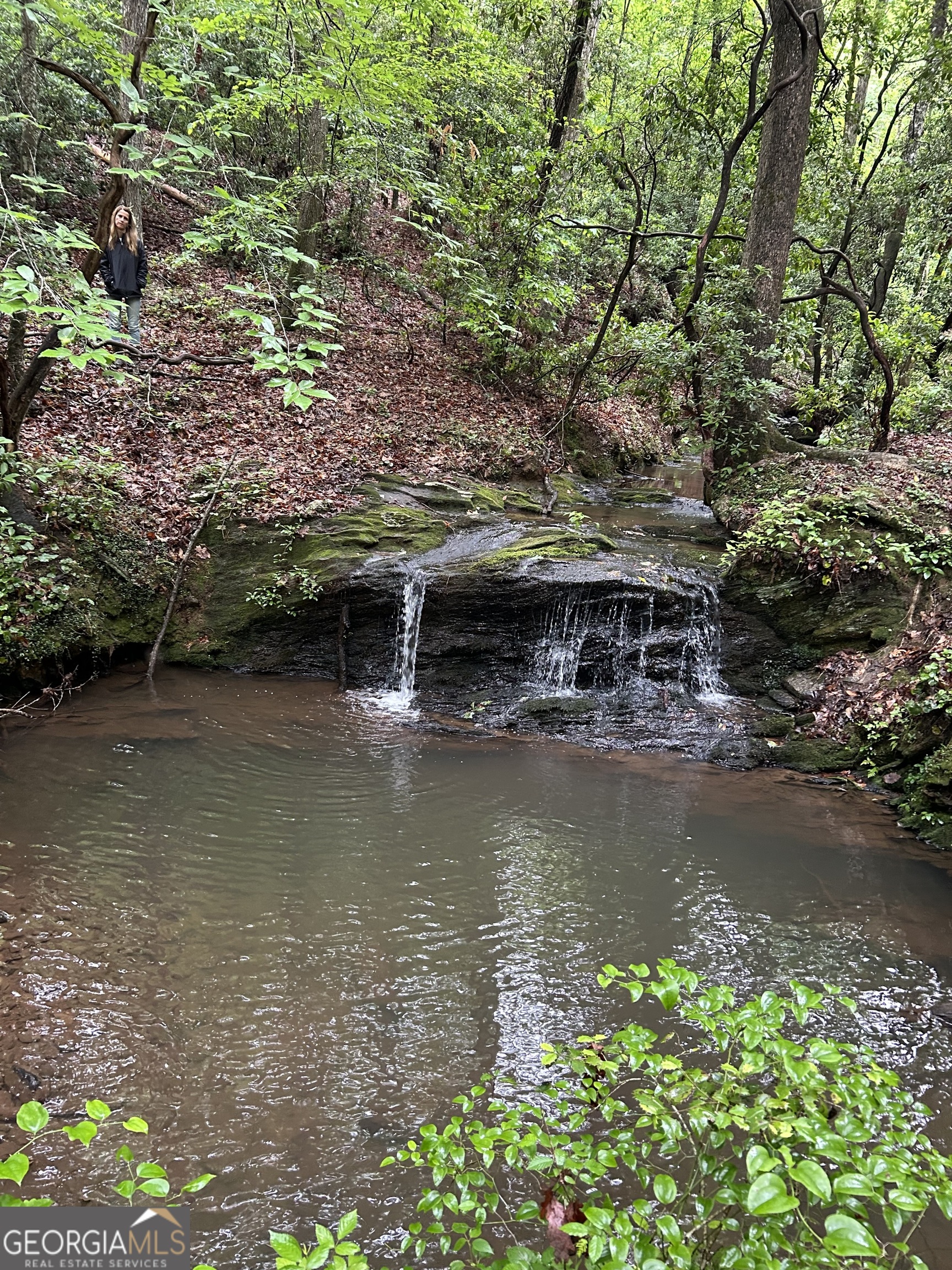 2055 Henry Scott RD -LOT B (3.7 ACRES)