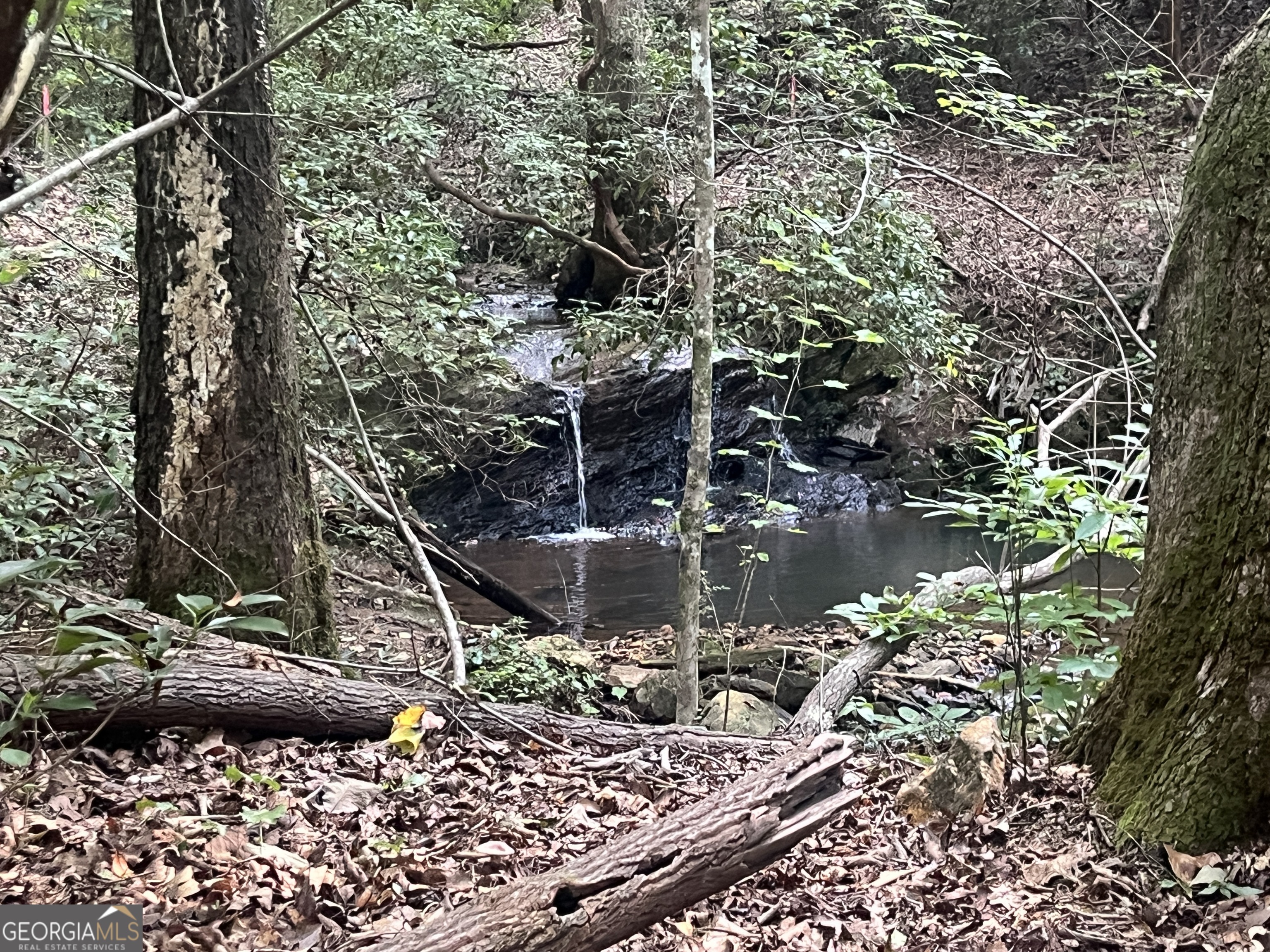 2055 Henry Scott RD -LOT B (3.7 ACRES)