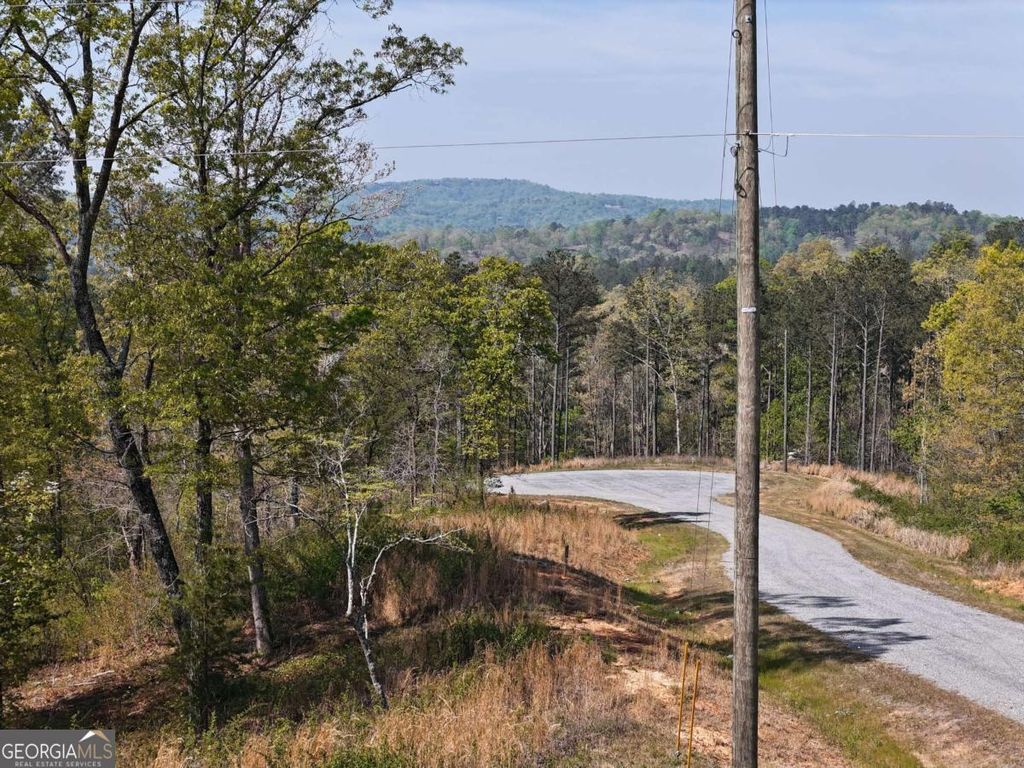 Photo of 20 Blalock Mountain Road, Ellijay, GA 30540 (MLS # 10637561)