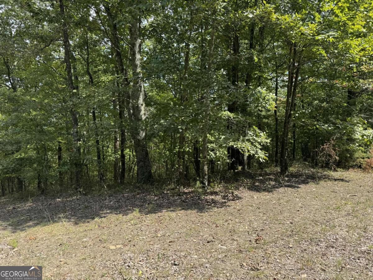 Seller says Sell! He is offering a Vista Pruning to open up views if under contract in the next two weeks! Corner, level lot with a favorable soil test and long range mountain views. Bring your floorplans and get ready for an amazing lifestyle in the North Georgia Mountains! Talking Rock Creek is a lovely neighborhood with great amenities! You are in close proximity to the apple houses of Ellijay, Wineries, Hiking, Shopping, Carters Lake, etc.