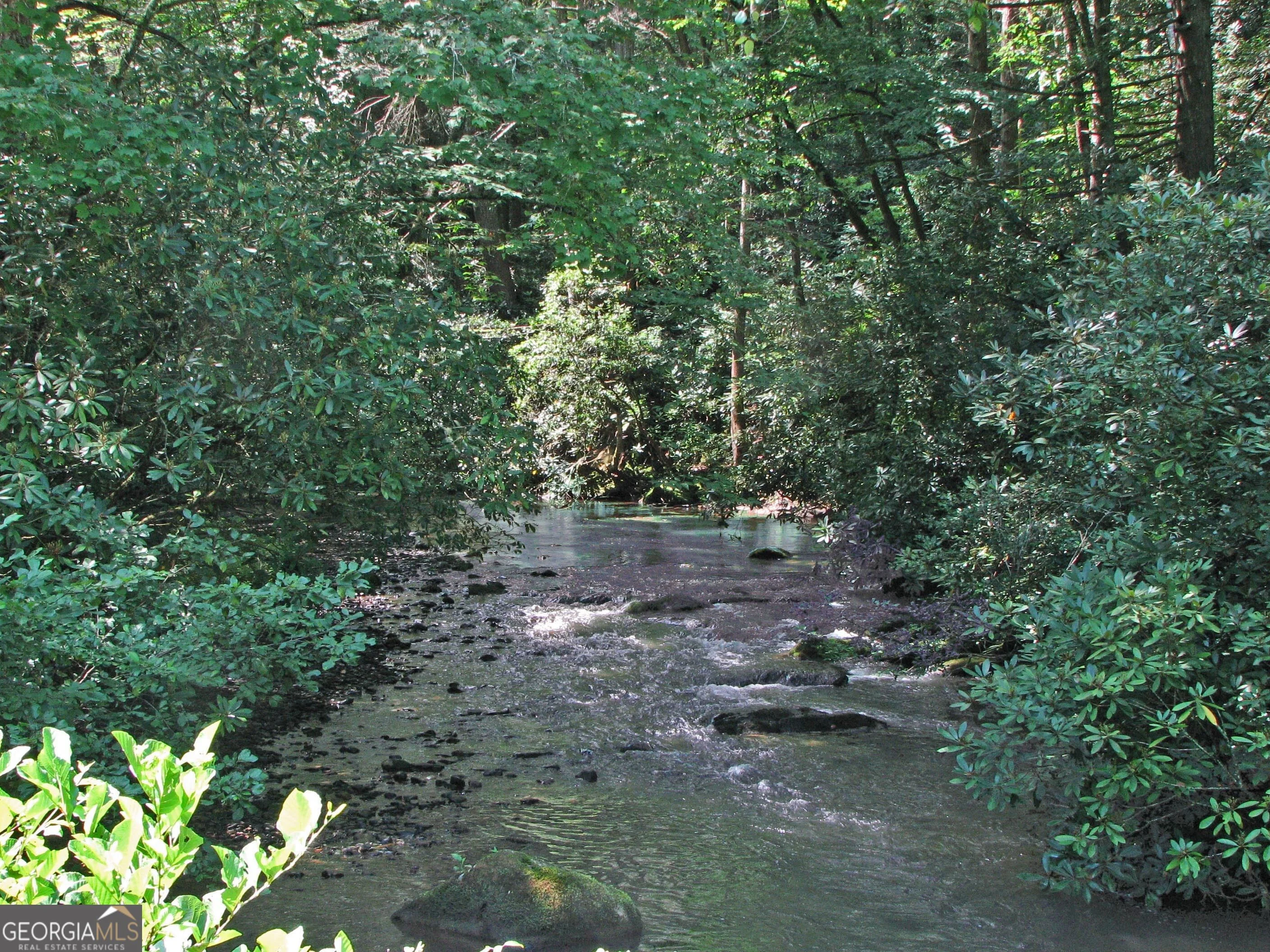 LOT 8 Snowbird Woods Road, Robbinsville, NC, 28771