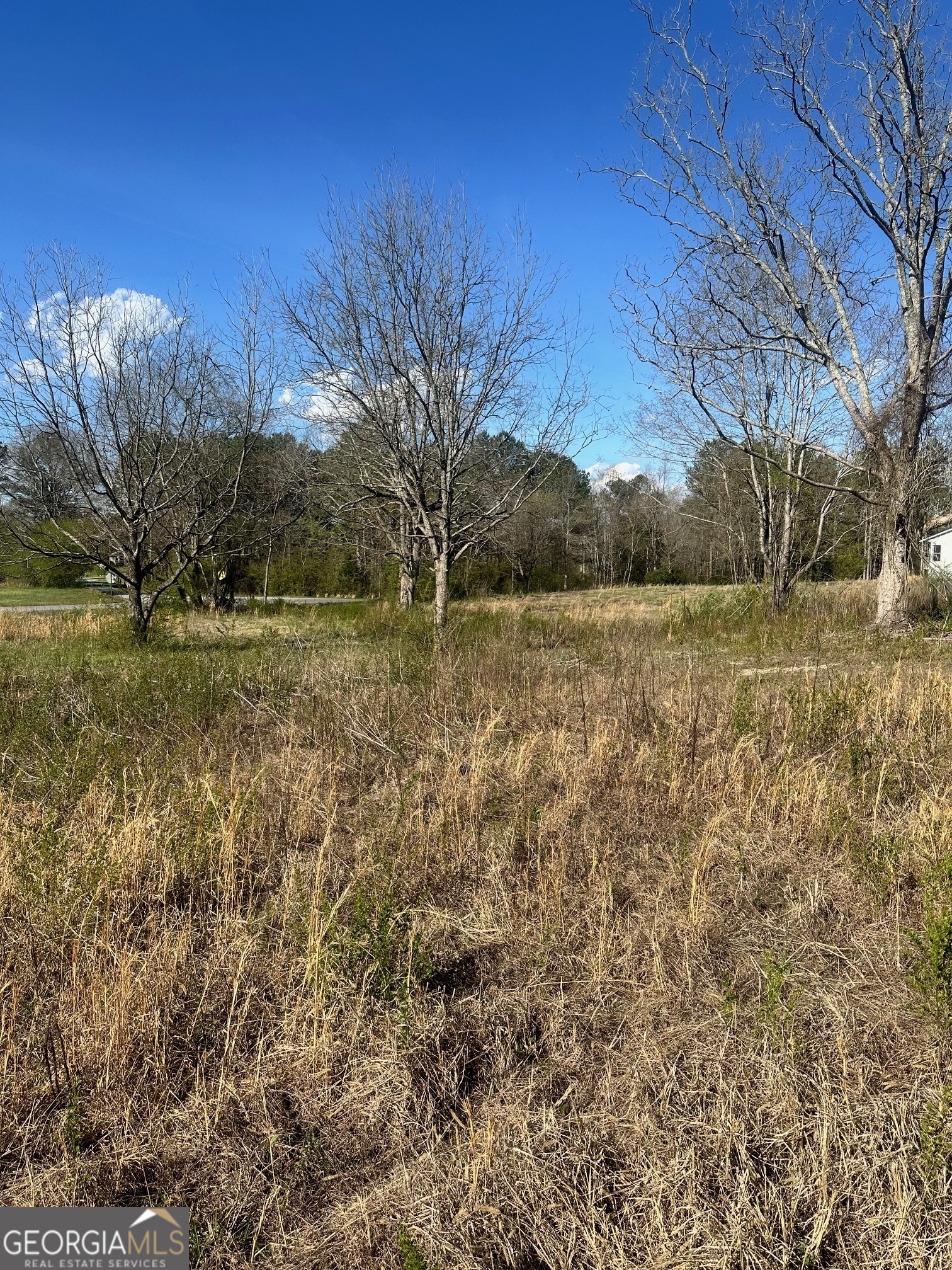 Tract 3 - 2.006 Acres. This property has gently rolling topography and has been recently cleared. Zoned A-1 Bartow County. Utilities: Power and Bartow County Water. No deed restrictions or HOA on the tract. New survey Available. There is a shared well on this property that services the neighboring property.