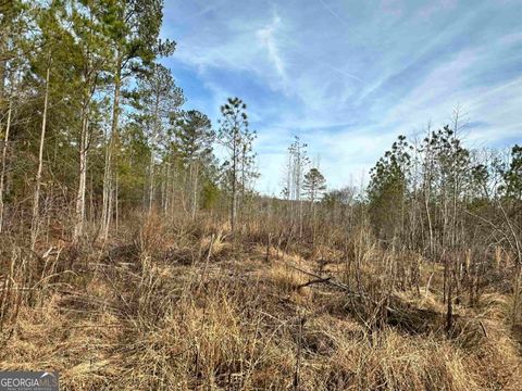 Unimproved Land in Taylorsville GA 00 Satcher Road.jpg