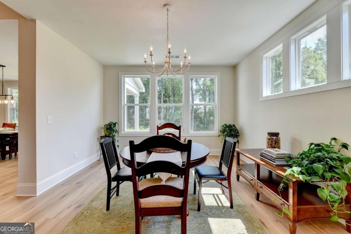 295 Conway TRL