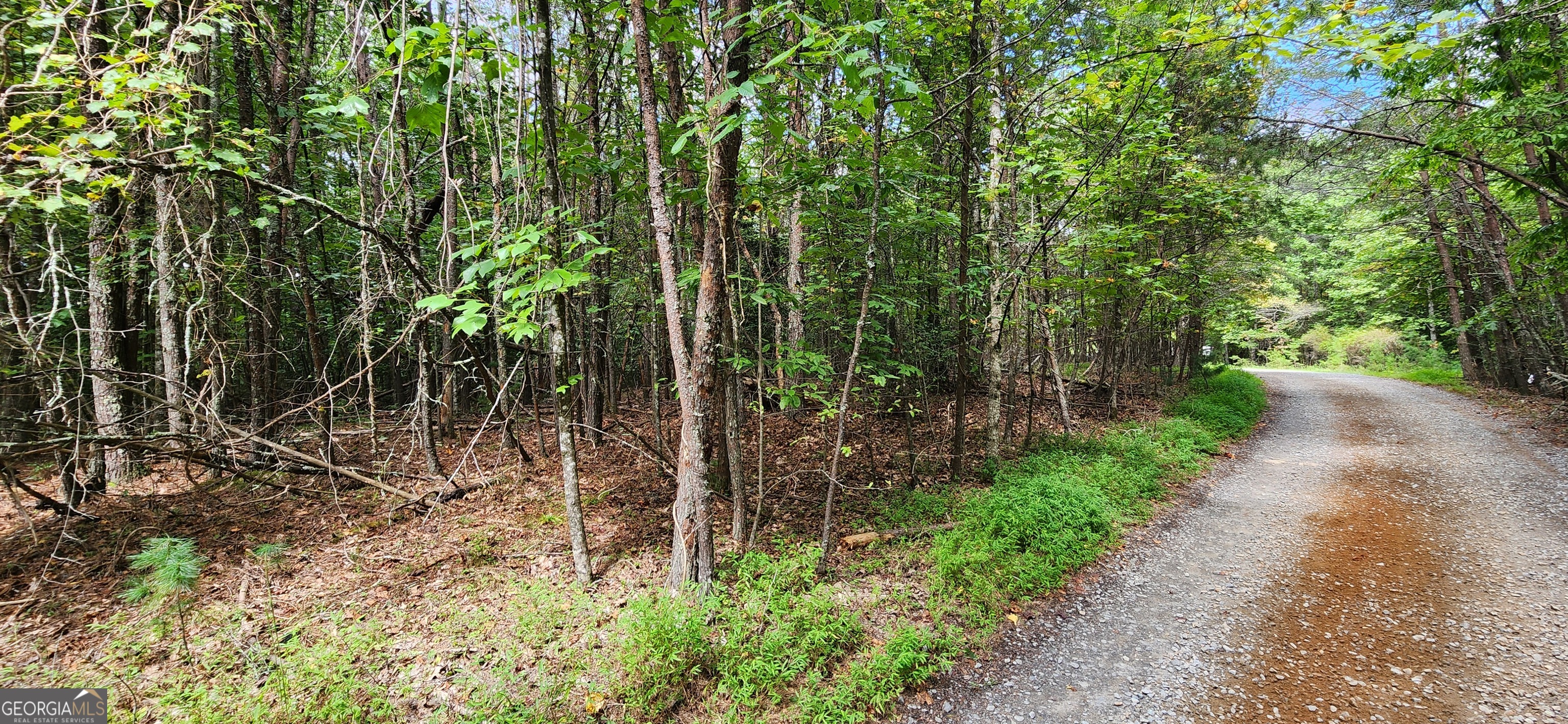 Almost 500 ft of trout fishing stream frontage with a total of 1.7 acres! You will not find a better deal in N GA!! Build at the top of this lot and enjoy year round sounds of an amazing N GA stream. The lot by the creek is in a flood plain, but it's a very easy walk to the site where you can build your forever cabin! Old Mill Pond Valley Estates is a close-knit group of nature lovers with very minimal fees just for road maintenance. Hothouse Creek is voluntarily stocked with trout biannually by all the residents on the creek.