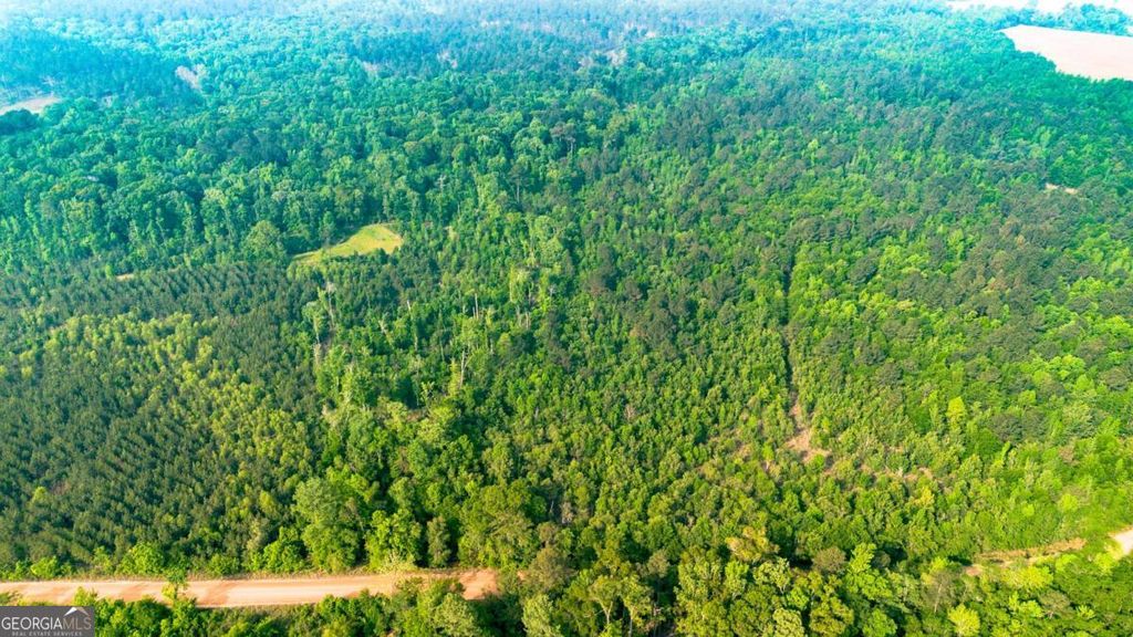 Photo of 0 Fields Farm Road, Millen, GA 30442 (MLS # 10741331)