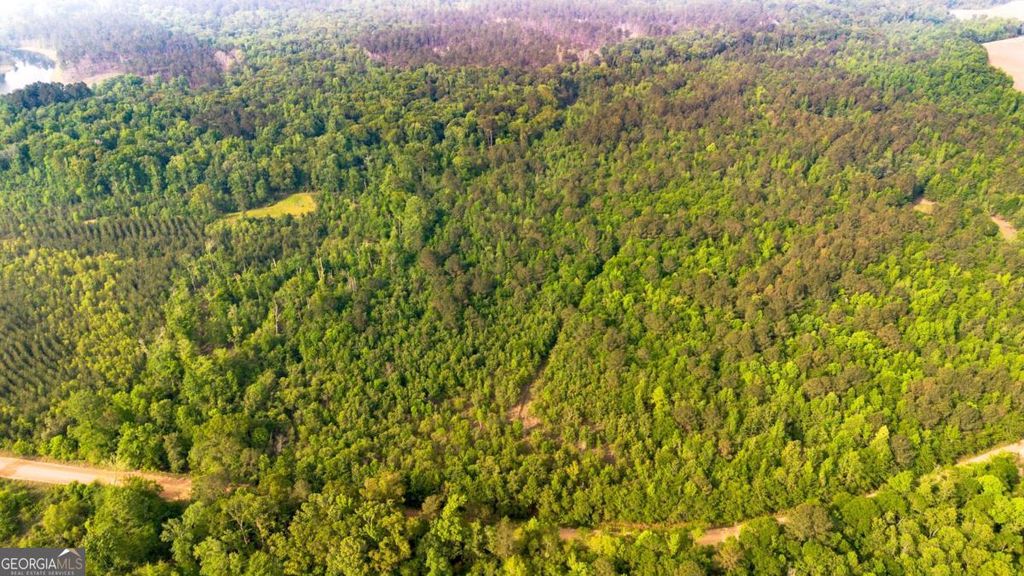 Photo of 0 Fields Farm Road, Millen, GA 30442 (MLS # 10741331)