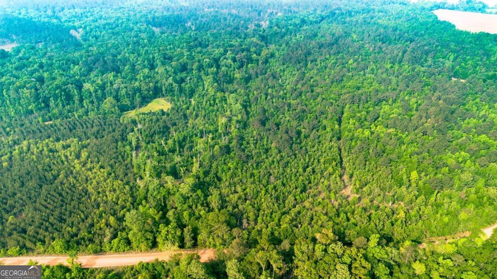 Photo of 0 Fields Farm Road, Millen, GA 30442 (MLS # 10741331)