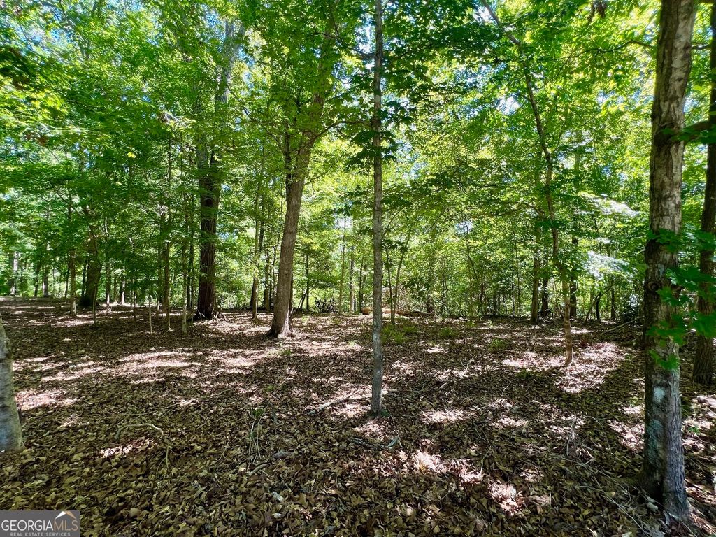 Photo of 0 Creekwood Court, Sandersville, GA 31082 (MLS # 10338701)
