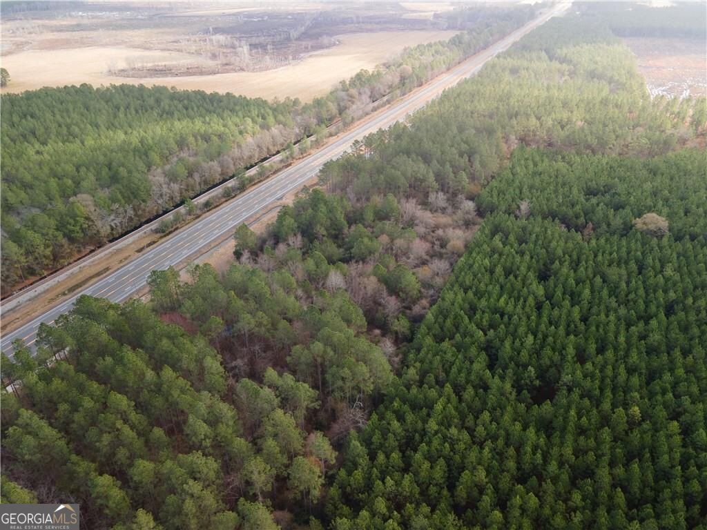 Photo of 1000 Highway 341, Odum, GA 31555 (MLS # 10702554)