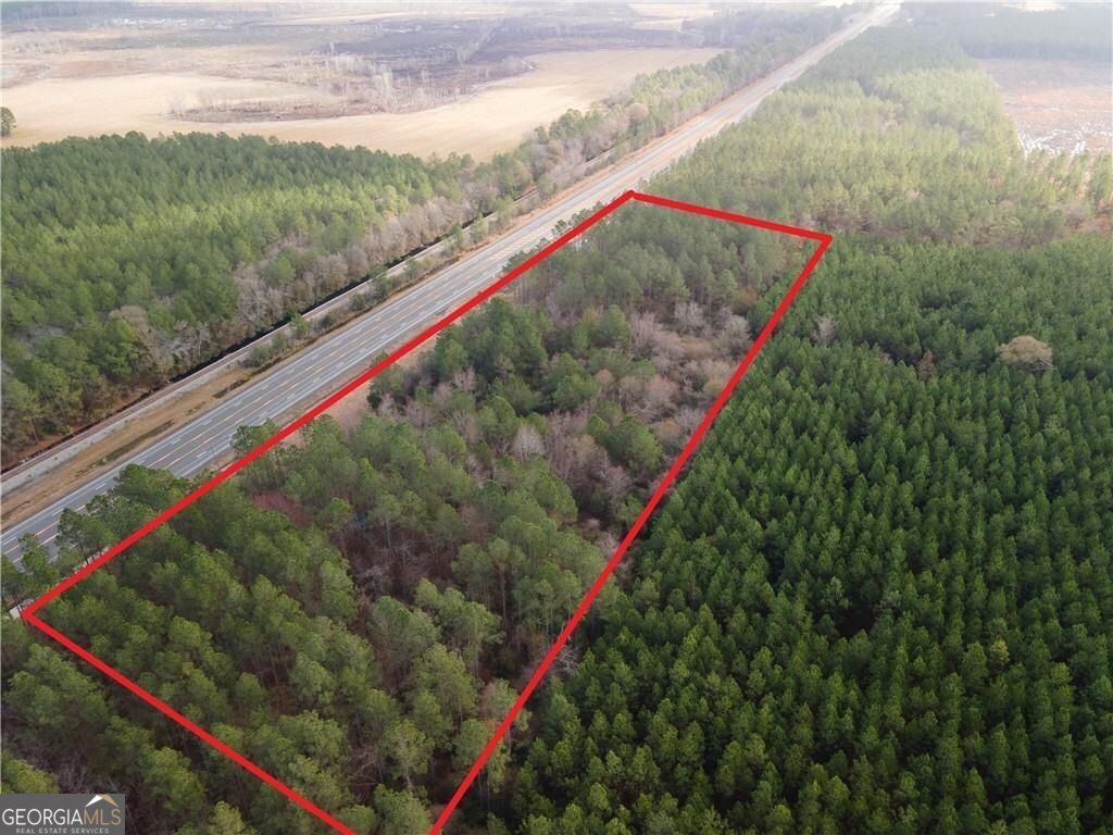 Photo of 1000 Highway 341, Odum, GA 31555 (MLS # 10702554)