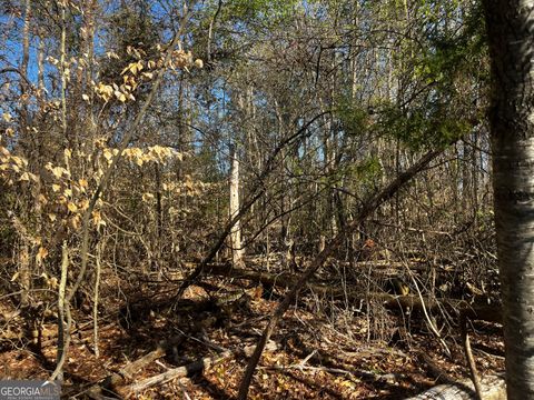 Photo of 0 Alpine Way, Lavonia, GA 30553 (MLS # 10712686)