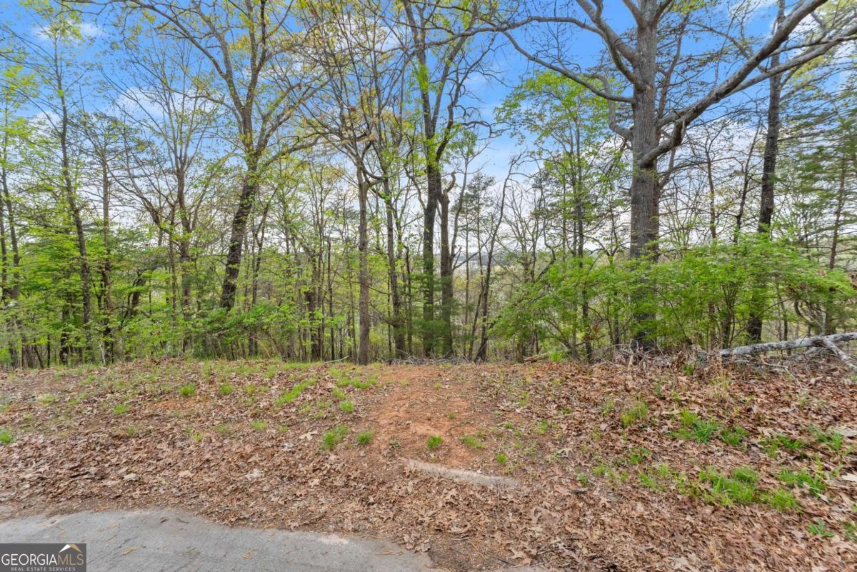 2517 Thompson Overlook