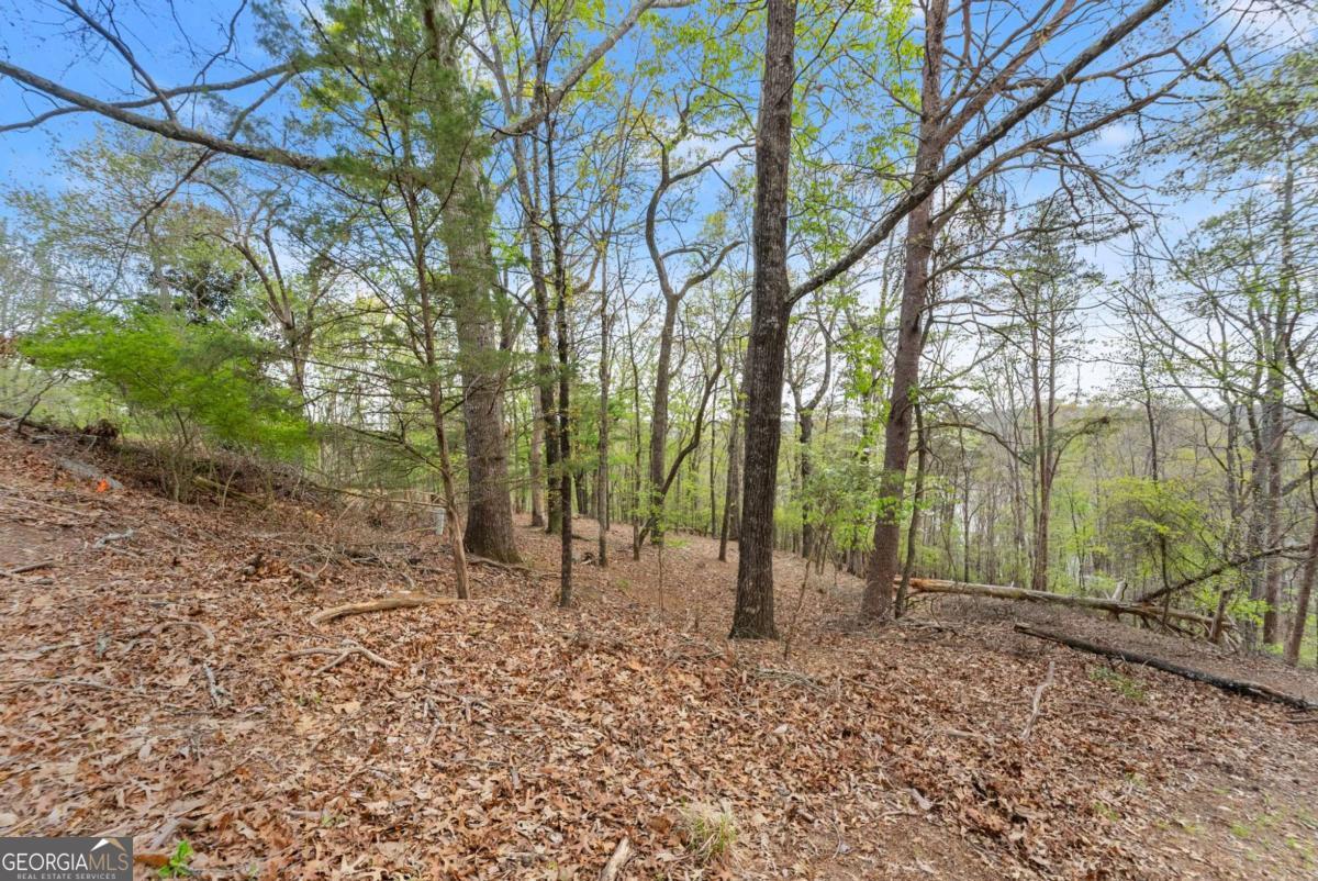 2517 Thompson Overlook