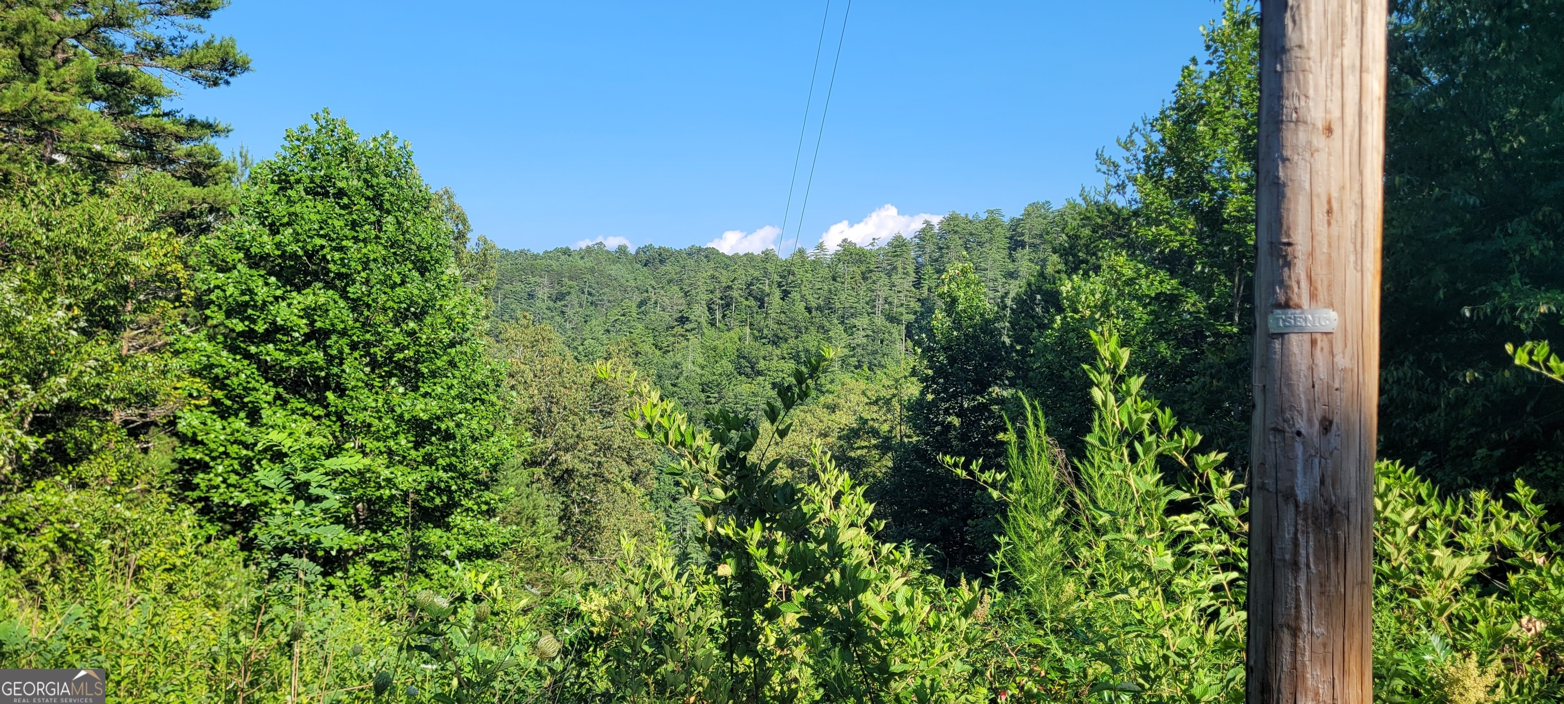 371 Wilderness Lake DR