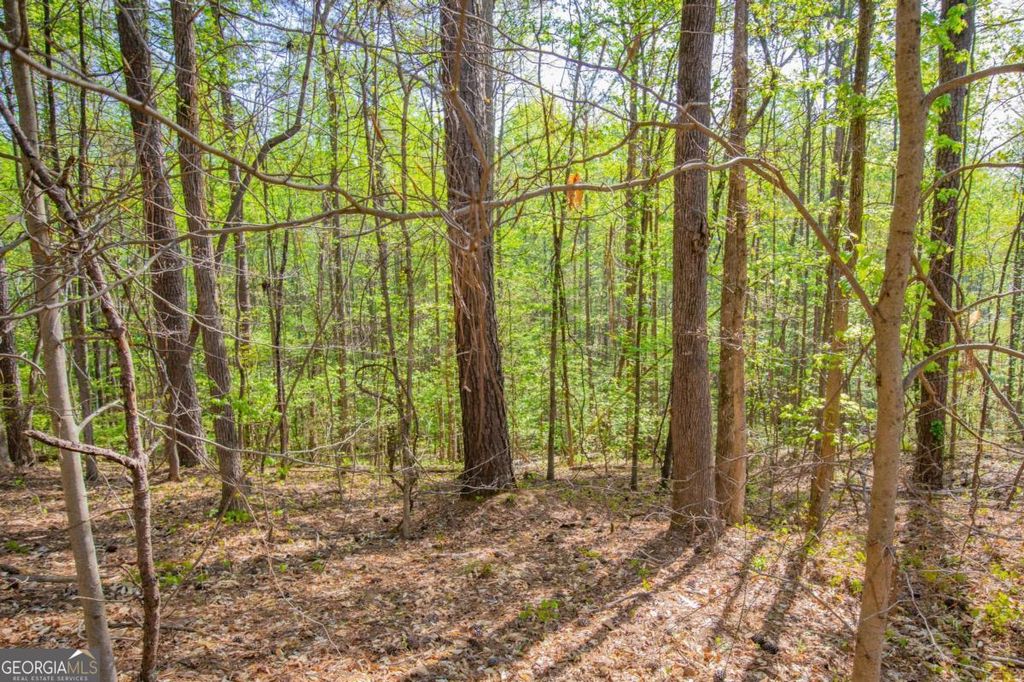 Photo of 0 Lake Esther Drive #LOT 1, Fairburn, GA 30213 (MLS # 10674417)