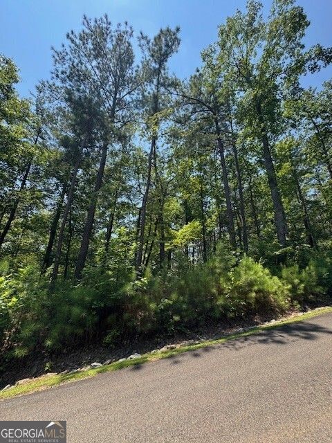 0 Carters VW Ellijay GA 30540