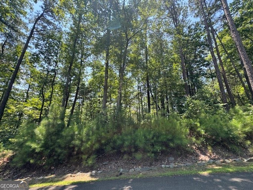 Photo of 0 Carters View, Ellijay, GA 30540 (MLS # 10660868)