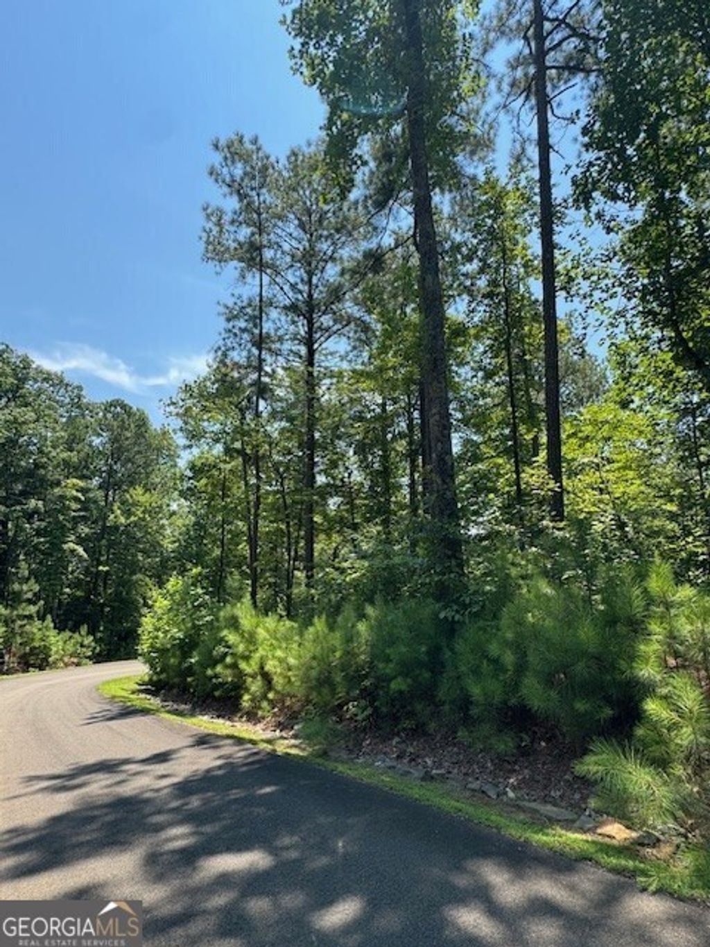 Photo of 0 Carters View, Ellijay, GA 30540 (MLS # 10660868)