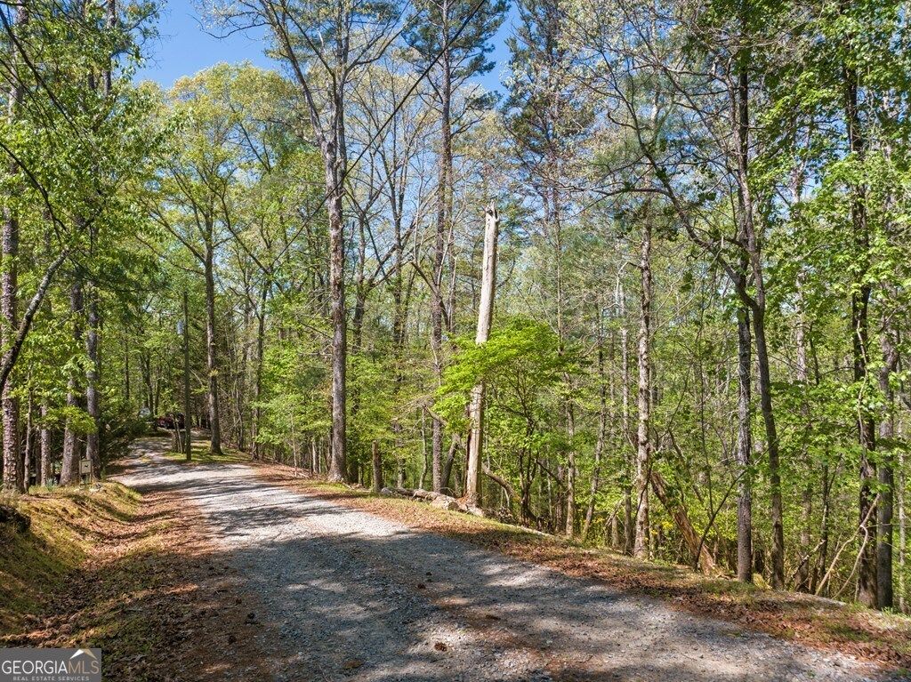 Photo of 560 Chattle Way, Ellijay, GA 30540 (MLS # 10737658)