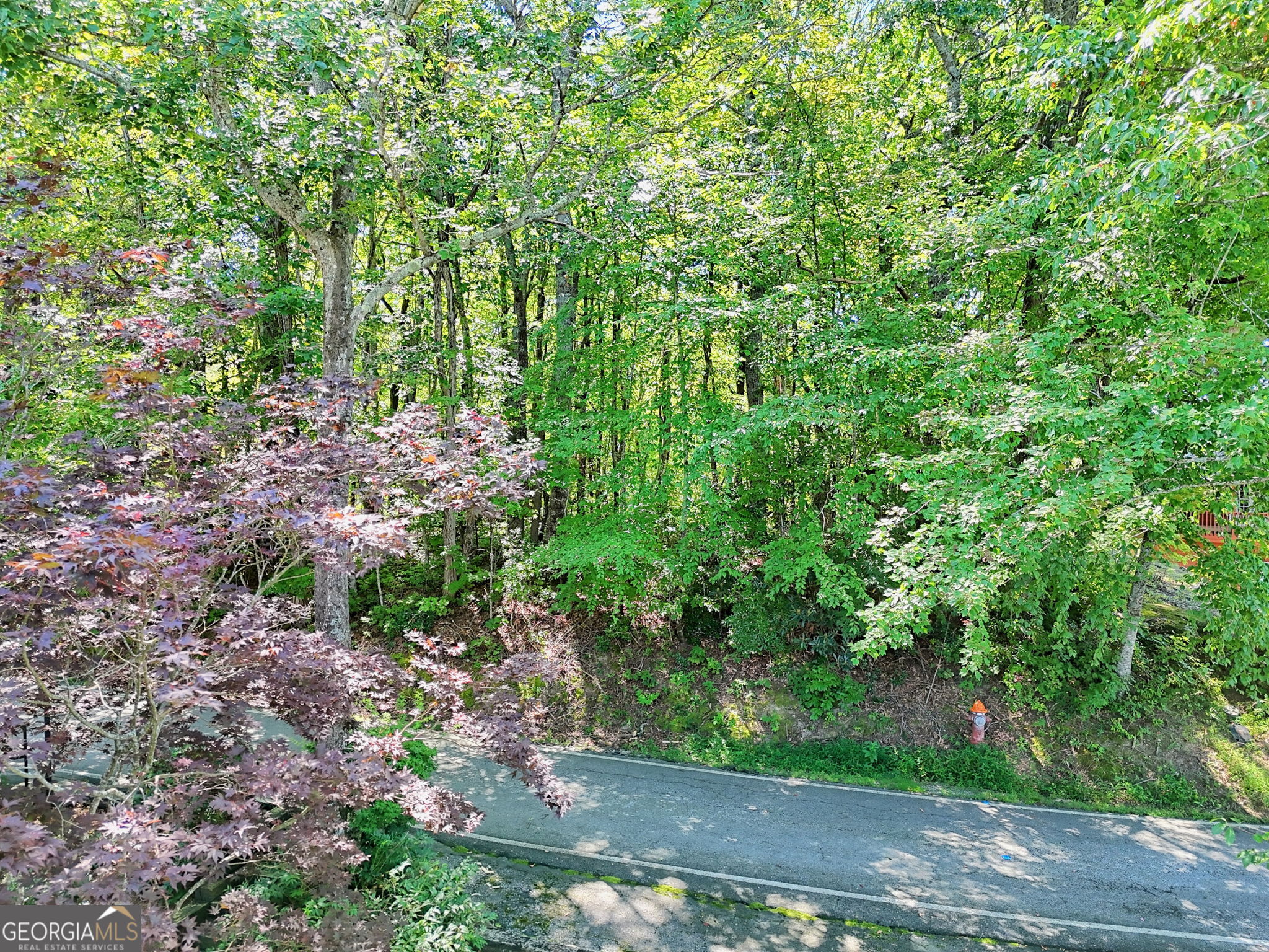 LOT 1 Pleasant Mountain DR
