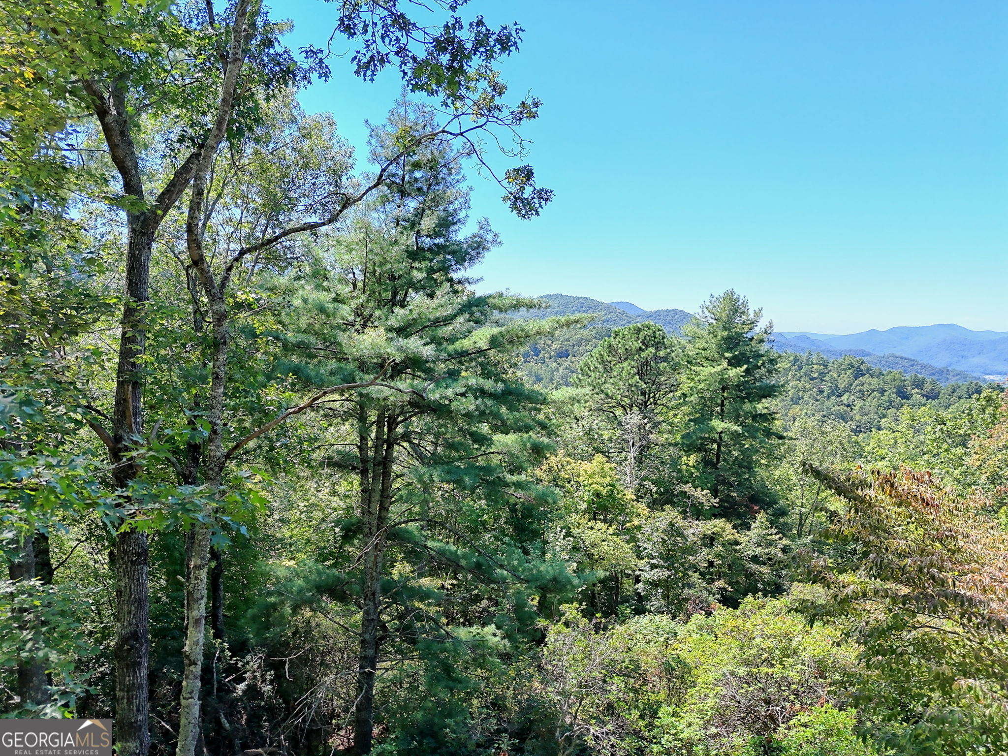 LOT 1 Pleasant Mountain DR