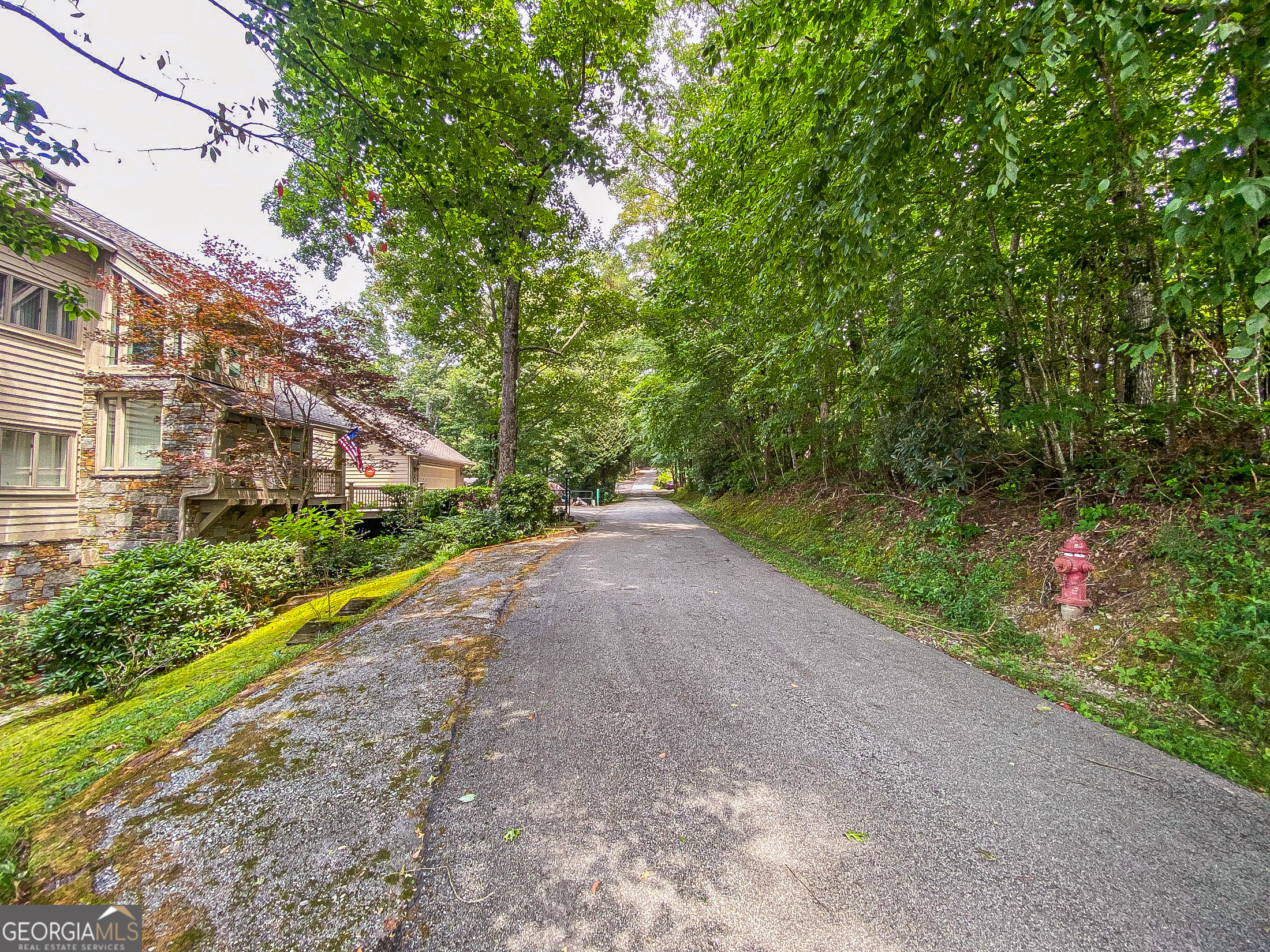 LOT 1 Pleasant Mountain DR