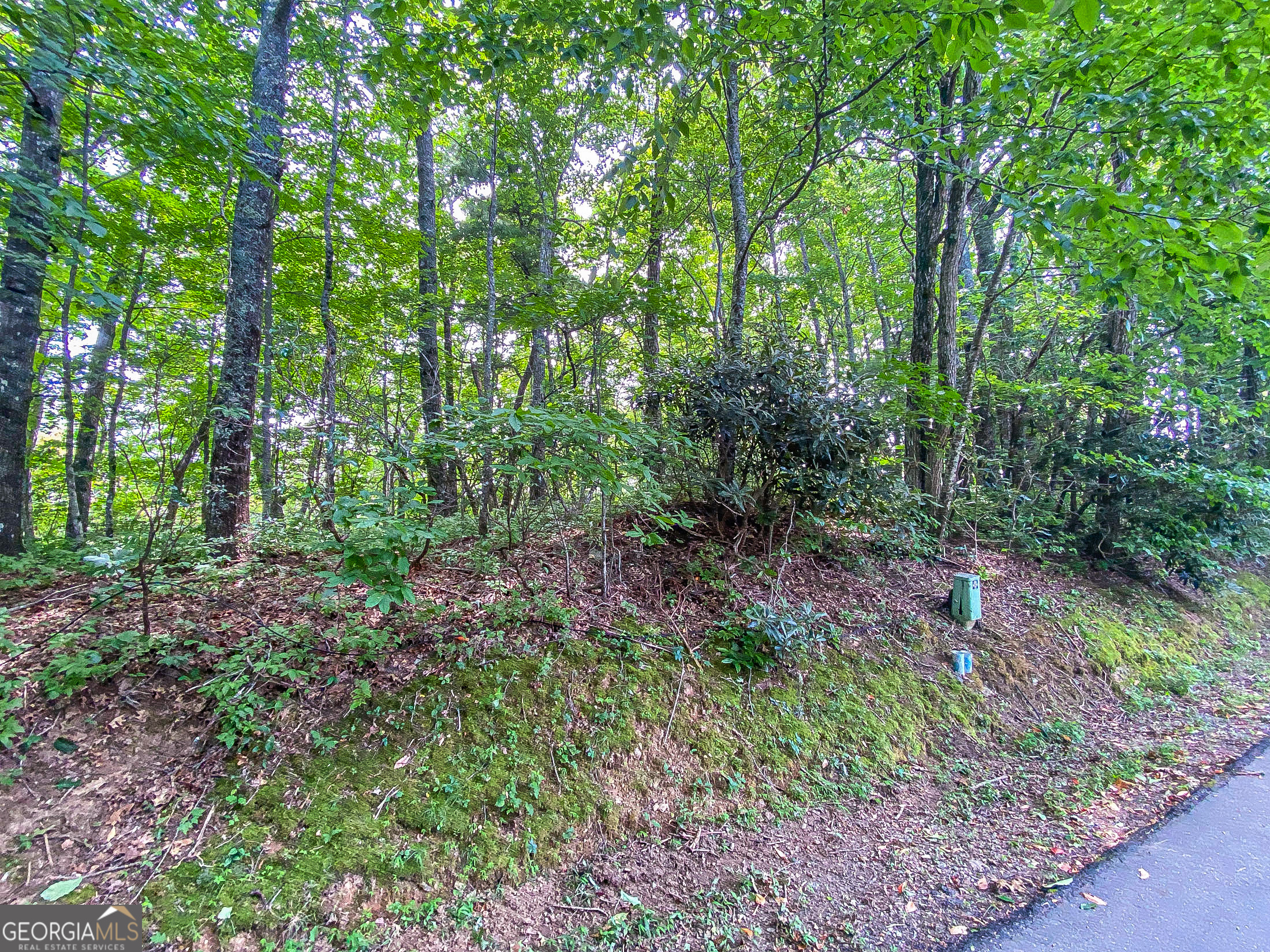 LOT 1 Pleasant Mountain DR