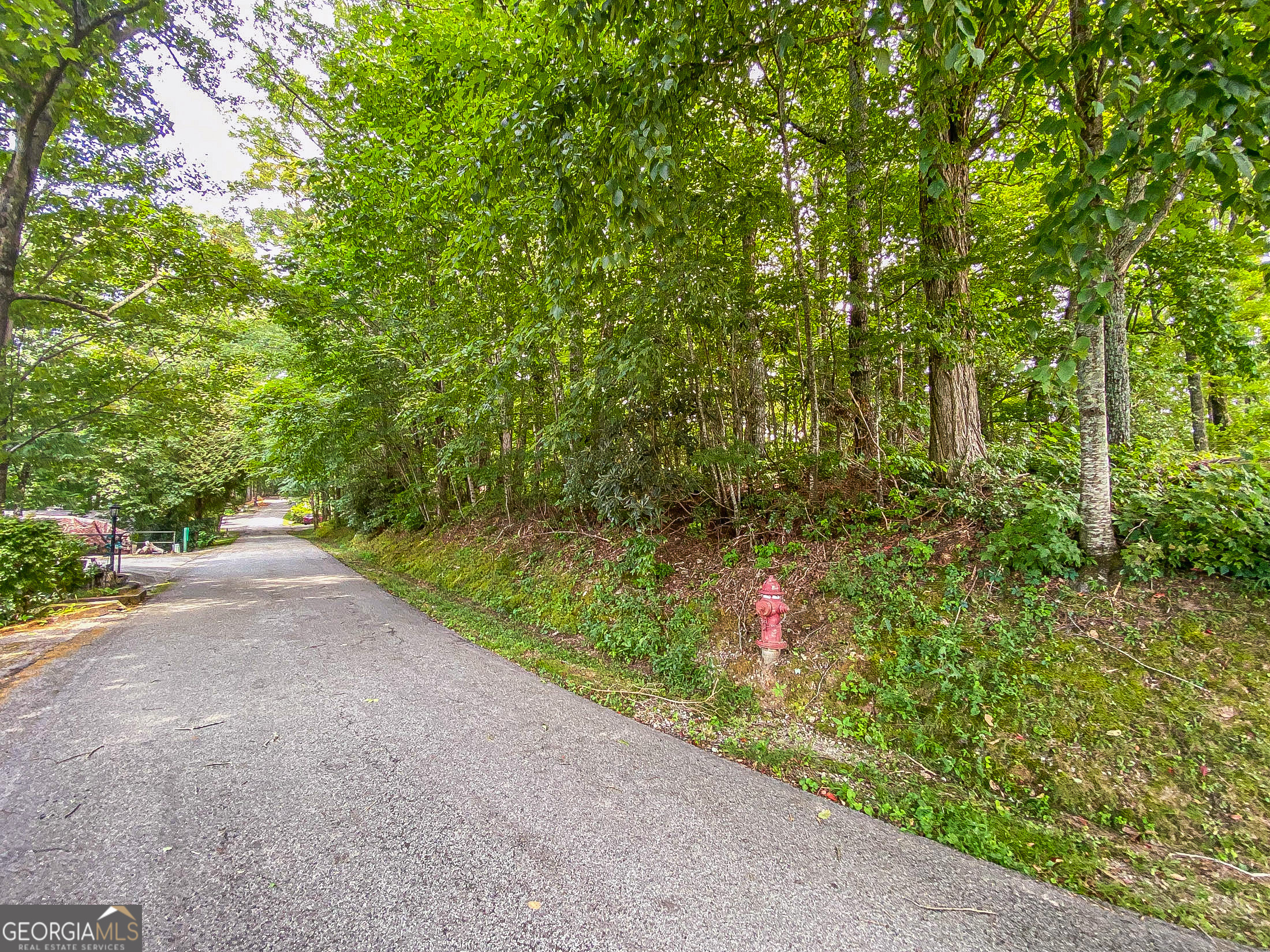 LOT 1 Pleasant Mountain DR