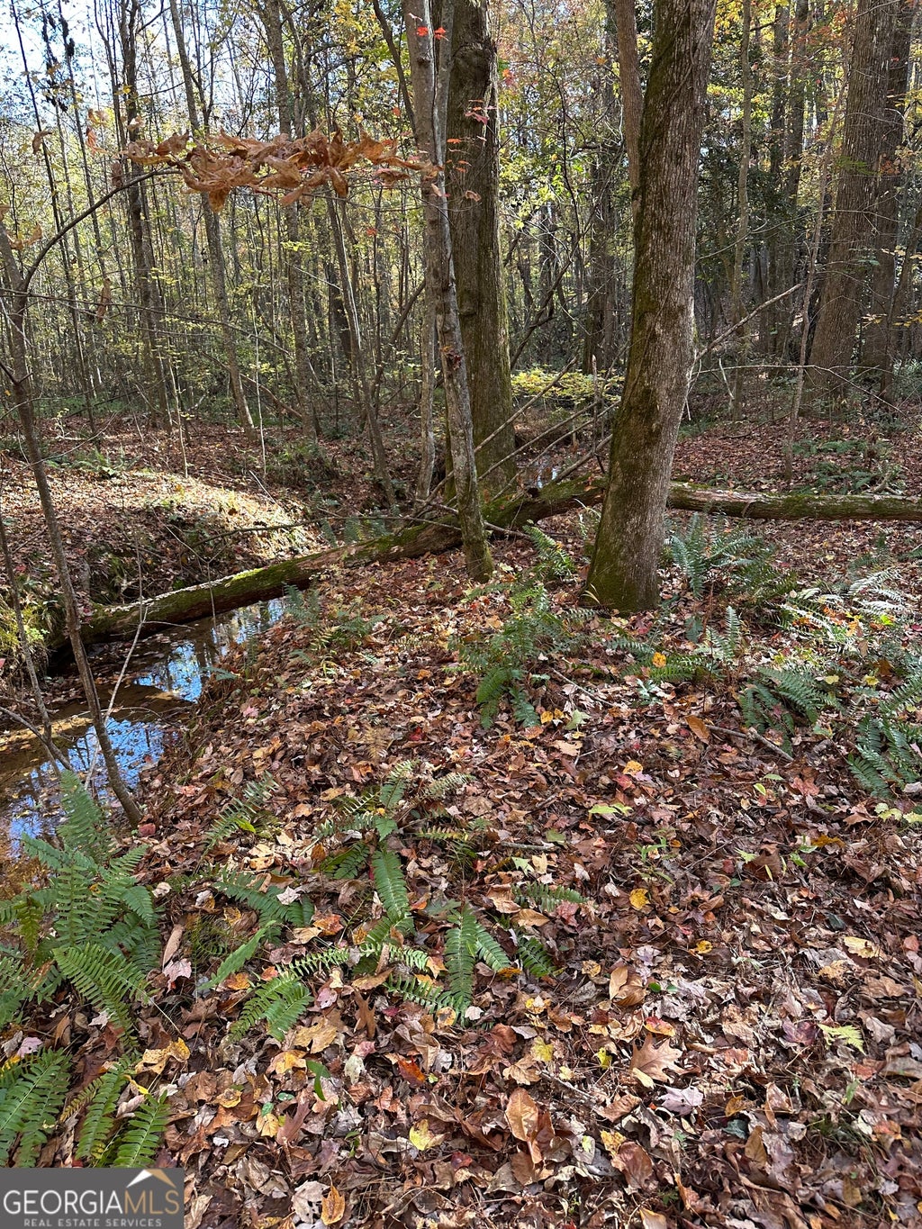 Photo of 39 Planters Creek Drive, Baldwin, GA 30511 (MLS # 10791450)