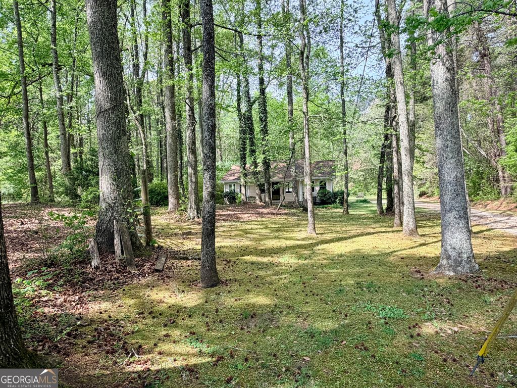 Photo of 1129 Cave Springs Road, Douglasville, GA 30134 (MLS # 10728083)