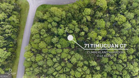 Photo of 71 TIMUCUAN Court, St. Marys, GA 31558 (MLS # 10370717)