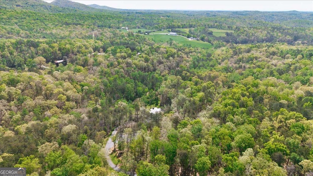 Photo of 545 Cowart Mountain Road, Jasper, GA 30143 (MLS # 10852375)