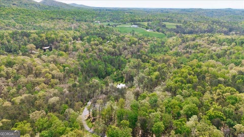 Photo for 545 Cowart Mountain RD